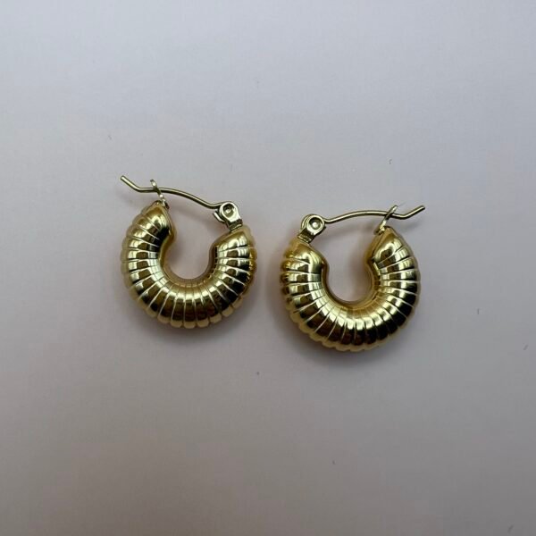 Shell Hoops